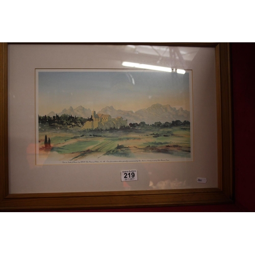 219 - FRAMED PICTURE