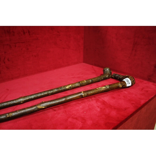 280 - 2 WALKING STICKS