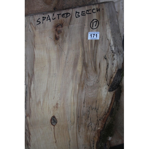 171 - PIECE OF BEECH TIMBER