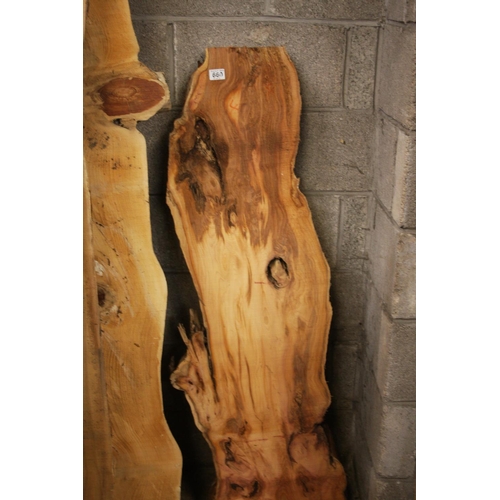 660 - PIECE OF YEW