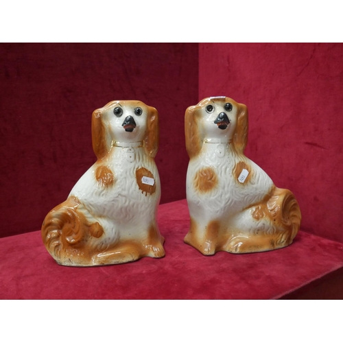 245 - PAIR OF STAFFORDSHIRE DOGS