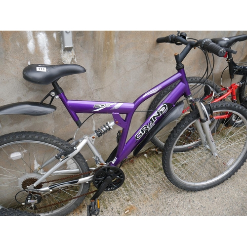 111 - PURPLE MOUNTAIN BIKE