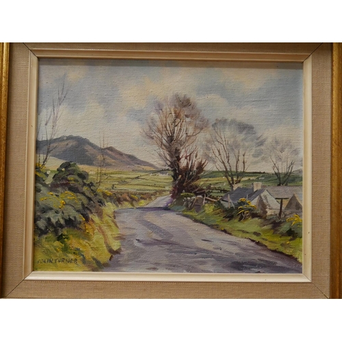 384 - COLIN TURNER OIL PAINTING