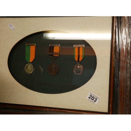 203 - 3 FRAMED IRISH MEDALS