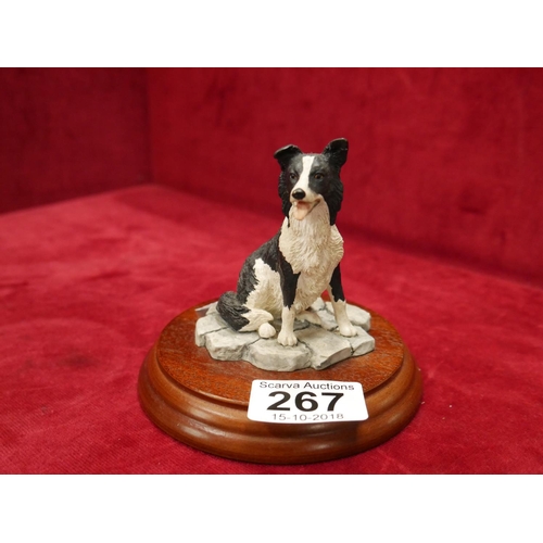 267 - BORDER FINE ARTS COLLIE