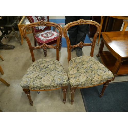 503 - PAIR OF WALNUT BALLOON BACK CHAIRS