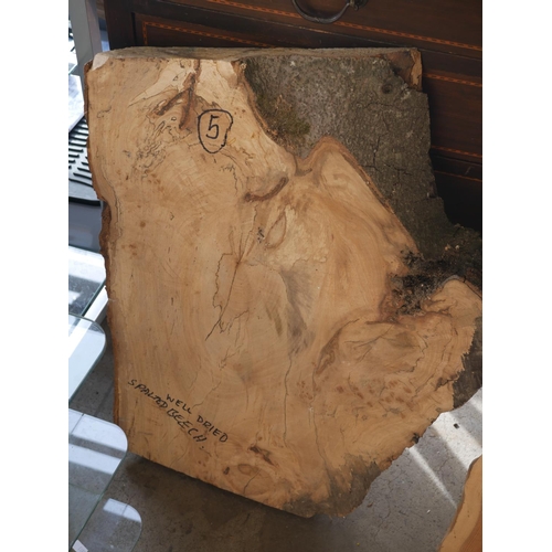 144 - PIECE OF SPALTED BEECH