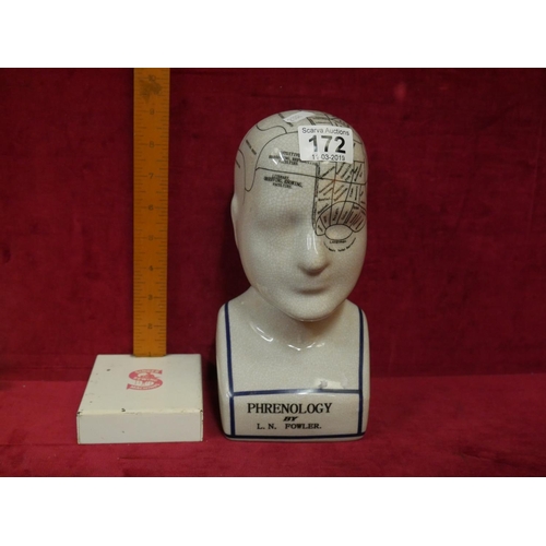 172 - PHRENOLOGY HEAD