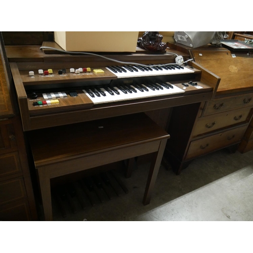 7 - ORGAN & STOOL