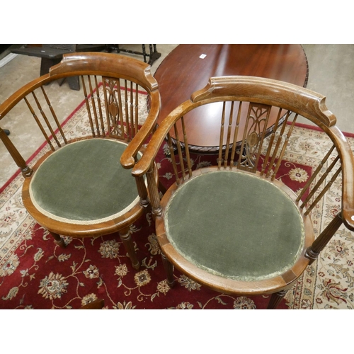 320 - PAIR OF TUB CHAIRS