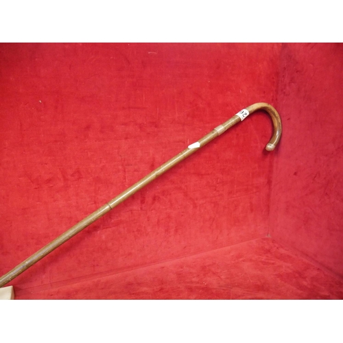 263 - SILVER COLLARED WALKING CANE