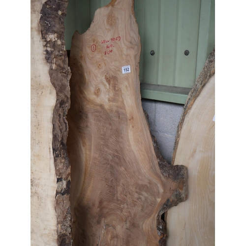 152 - BURR ELM PLANK