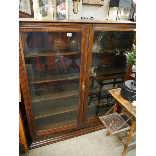 867 - 2 DOOR BOOKCASE