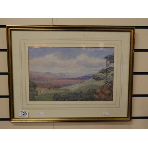 429 - FRAMED WATERCOLOUR