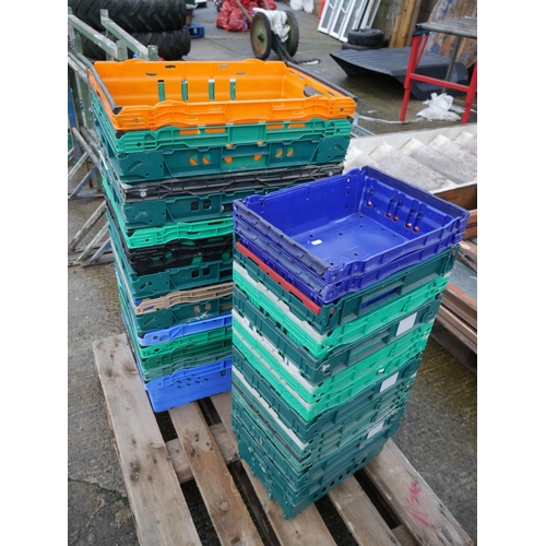 15 - LOT OF STORAGE TRAYS