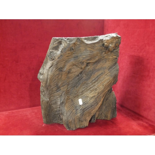 250 - BOG OAK SCULPTURE