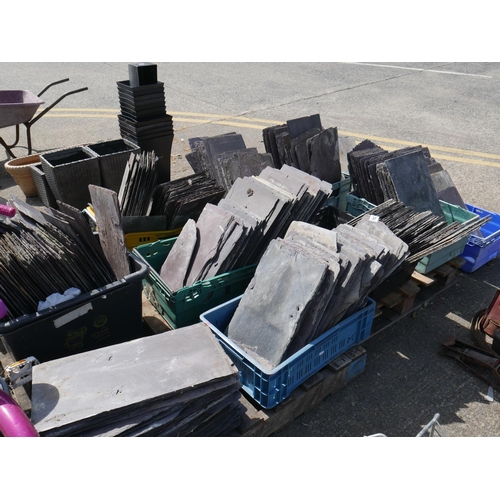 37 - LARGE LOT OF BANGOR BLUE SLATES