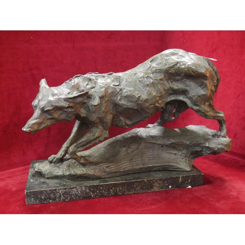 145 - BRONZE FOX