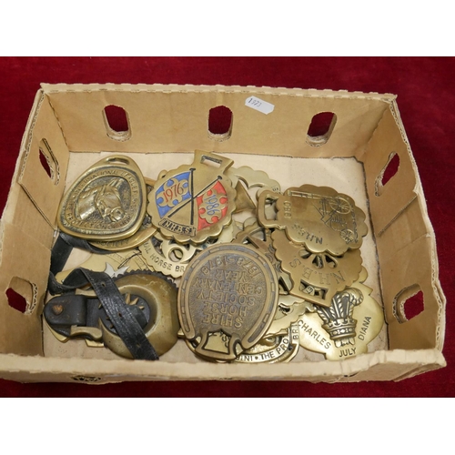 171 - LOT OF HORSE BRASS