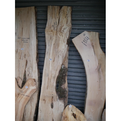 176 - LARGE SPALTED BEECH PLANK