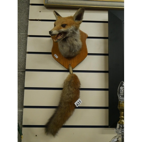 431 - MOUNTED FOX HEAD & TAIL