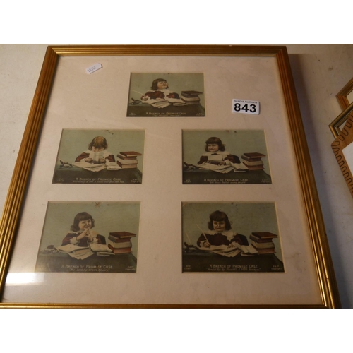 843 - FRAMED POSTCARDS