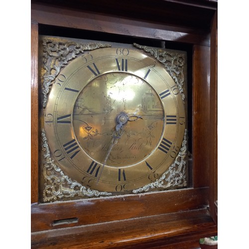 427 - OAK & BRASS DIAL GRANDFATHER CLOCK