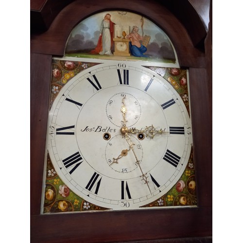 445 - GRANDFATHER CLOCK WITH WEIGHTS (NO PENDULUM)