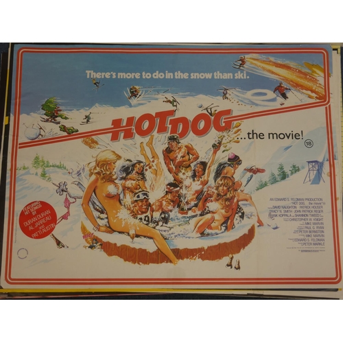 71 - ORIGINAL MOVIE POSTER 102 CM X 71 CM HOT DOG