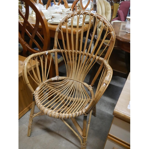 555 - CANE CHAIR