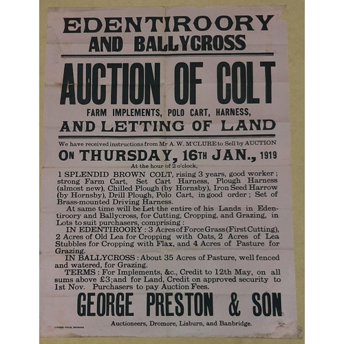 39 - LAND LETTING, EDENTIROORY AUCTION POSTER 20