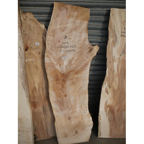 145 - SLAB OF COLOURED SYCAMORE