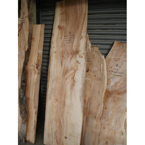 147 - SLAB OF SPALTED ELM