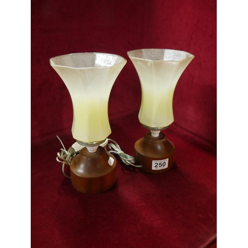 250 - PAIR OF VINTAGE TABLE LAMPS