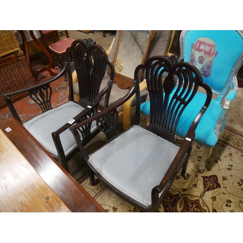 464 - PAIR OF MAHOGANY CHAIRS