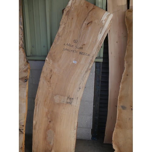 144 - SLAB OF SPALTED BEECH