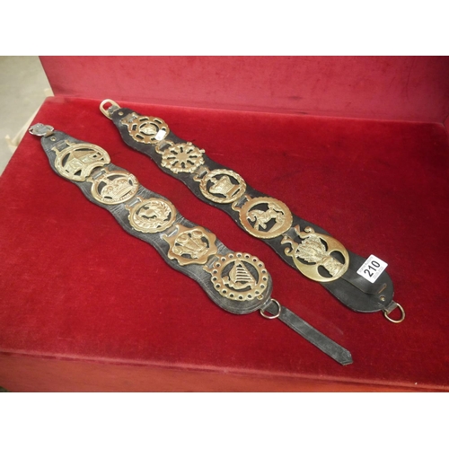 210 - HORSE BRASSES