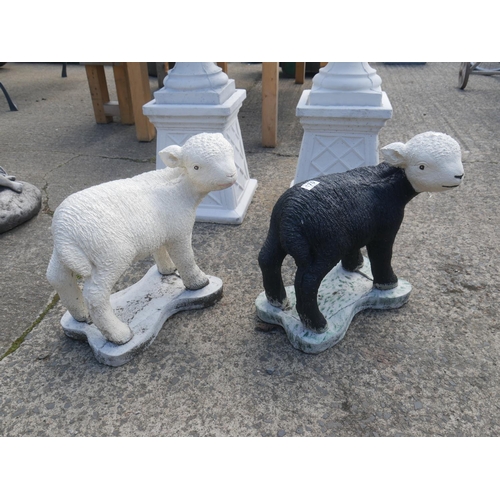 170 - PAIR OF CONCRETE LAMBS