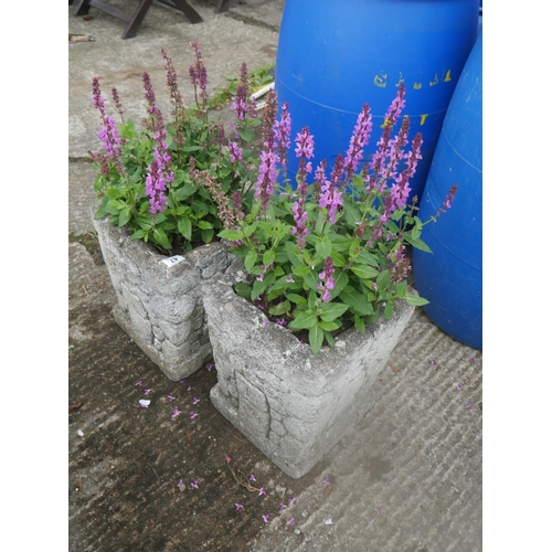 47 - PAIR OF CONCRETE PLANTERS