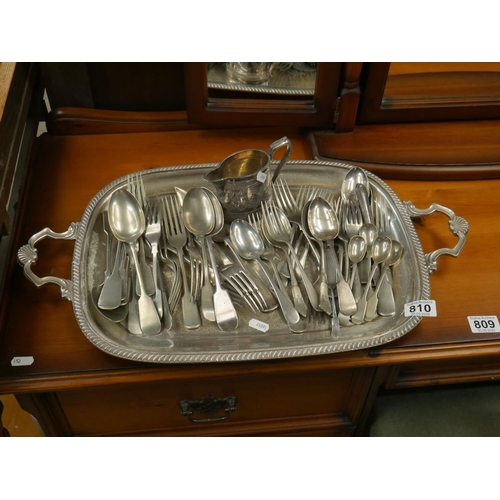 810 - TRAY OF CUTLERY