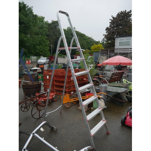 55 - STEP LADDER