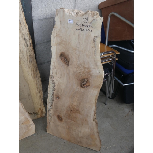 252 - SYCAMORE PLANK