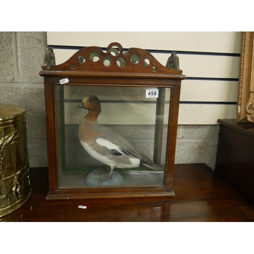 458 - VICTORIAN TAXIDERMY DUCK IN CASE