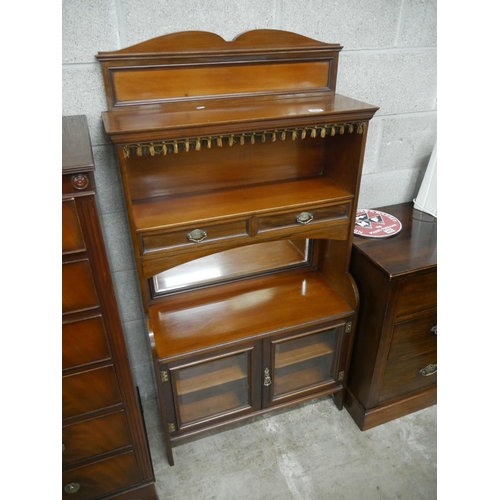 464 - MAHOGANY BOOKCASE WITH 2 DOOR DISPLAY CASE BELOW