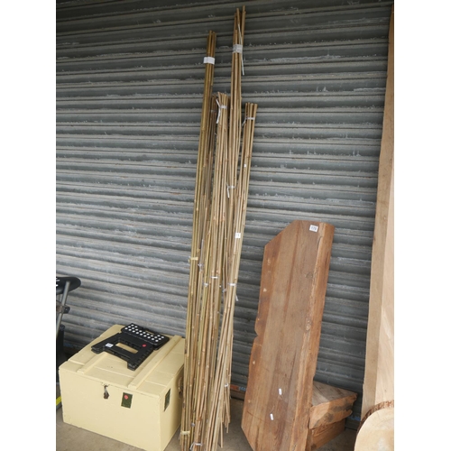 171 - LOT OF BAMBOO