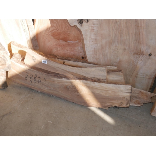 199 - 5 PIECES OF DRIED ELM