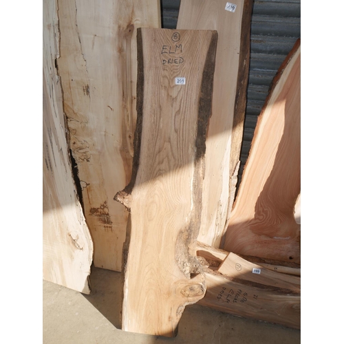 201 - PIECE OF DRIED ELM