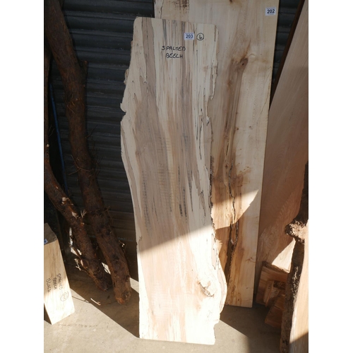 203 - PIECE OF SPALTED BEECH