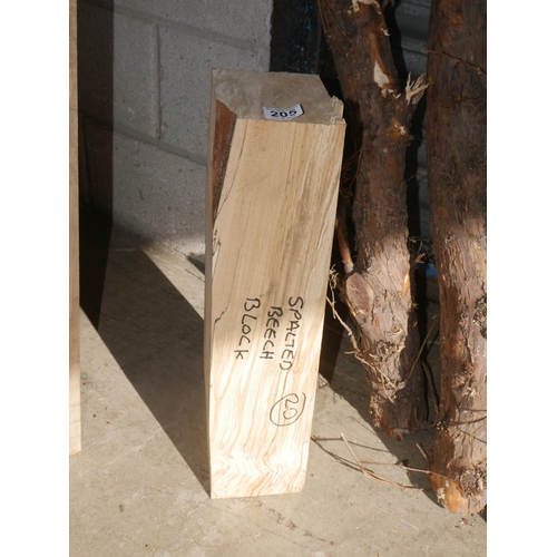 205 - SPALTED BEECH BLOCK