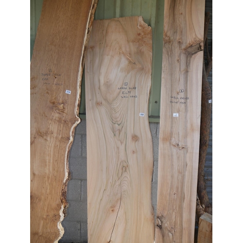 208 - SLAB OF ELM